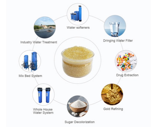 strong acid cation exchange resin
